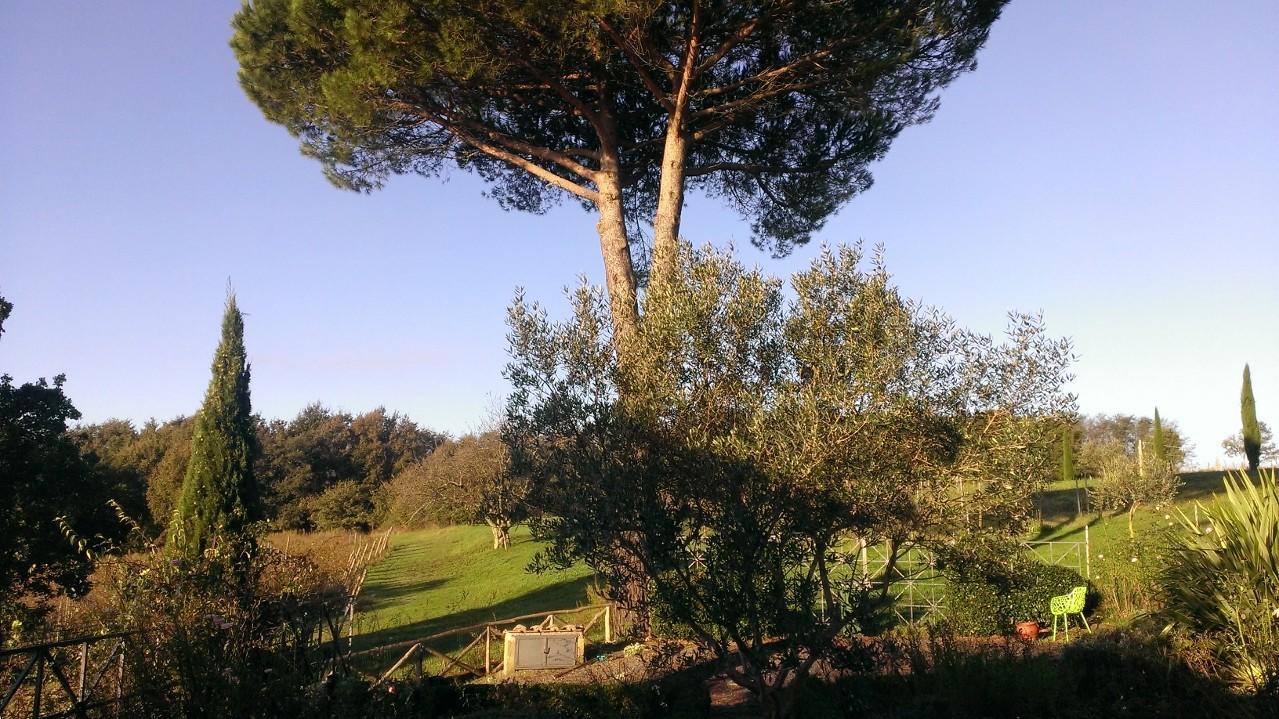 מלון Gradoli La Montagnola Retreat מראה חיצוני תמונה